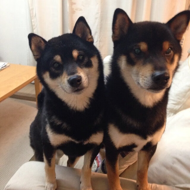 斯通斯的双重夜晚,当足球绝杀照亮另一个球场