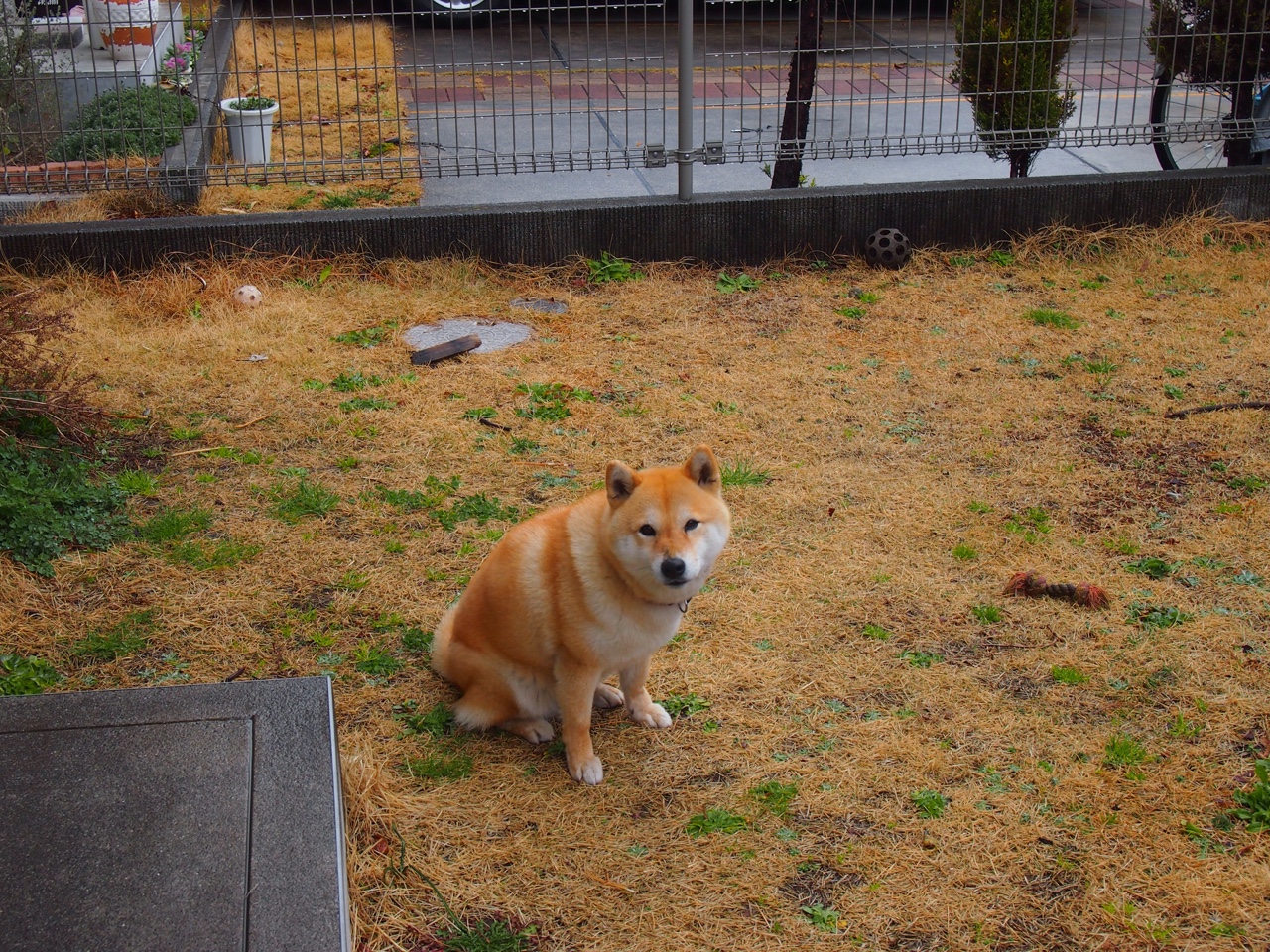 高压下的优雅，当终场哨响前，英格拉姆画出那道改写命运的弧线